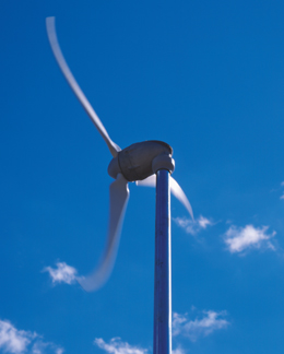 Maui Wind Turbines