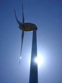 Maui Wind Turbines